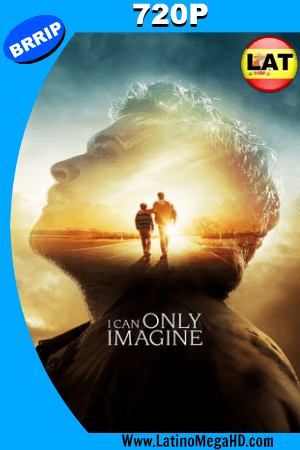 Si solo pudiera imaginar (2018) Latino HD 720p ()